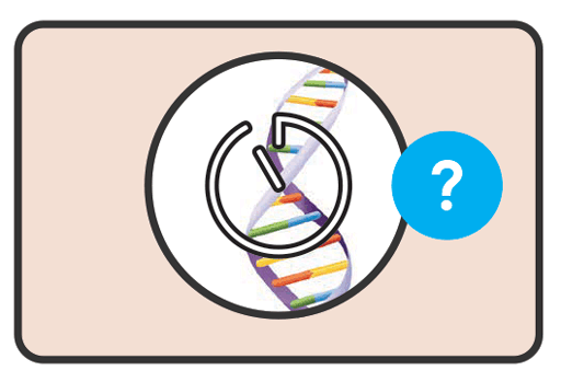 WHO-recommended rapid molecular diagnostic tests