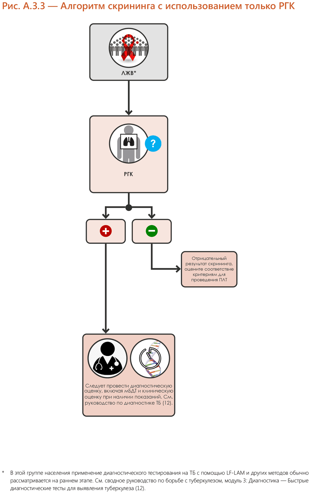 CXR single screening algorithm