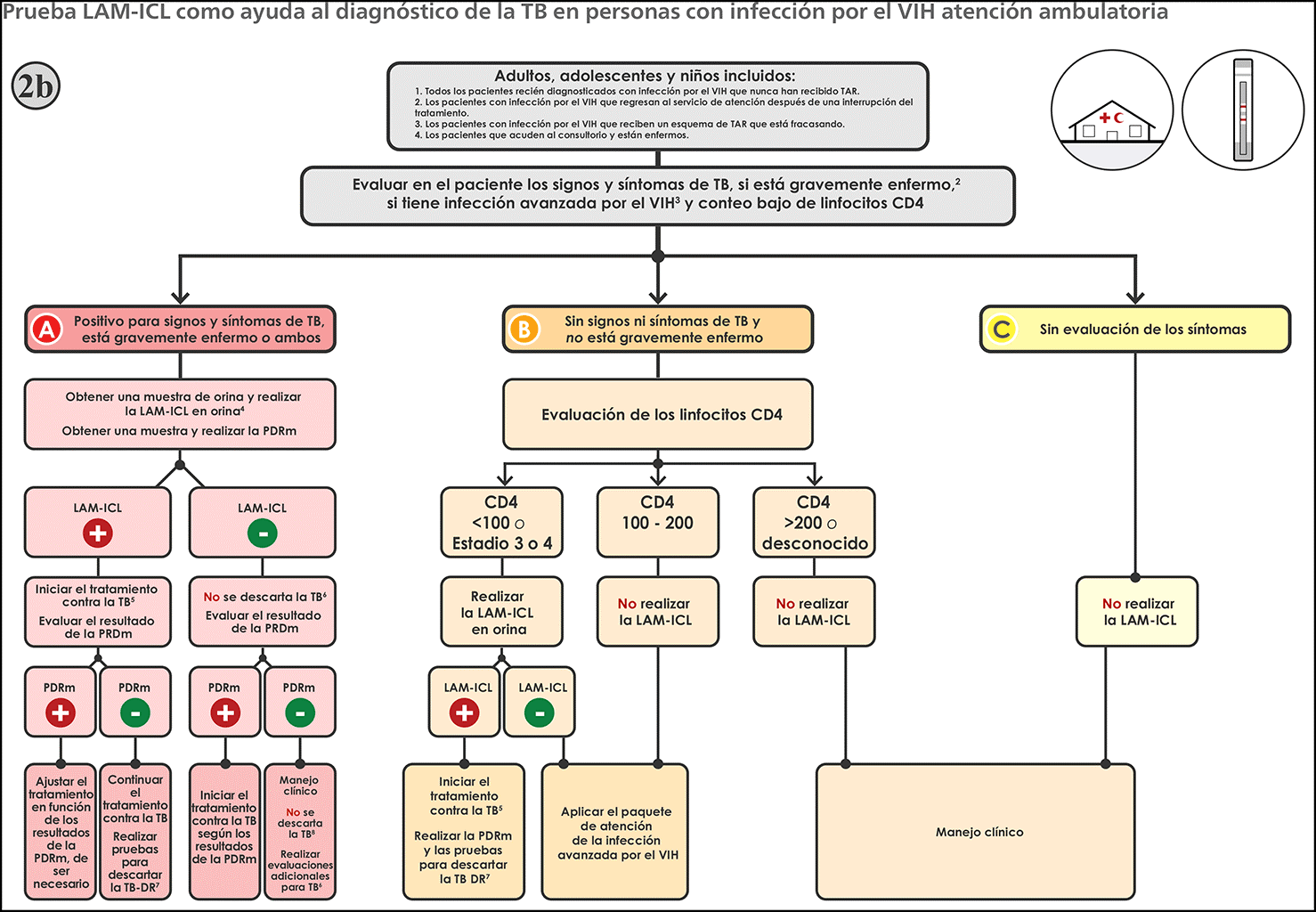 Prueba LAM-ICL como ayuda al diagnóstico de la TB en personas con infección por el VIH atención ambulatoria