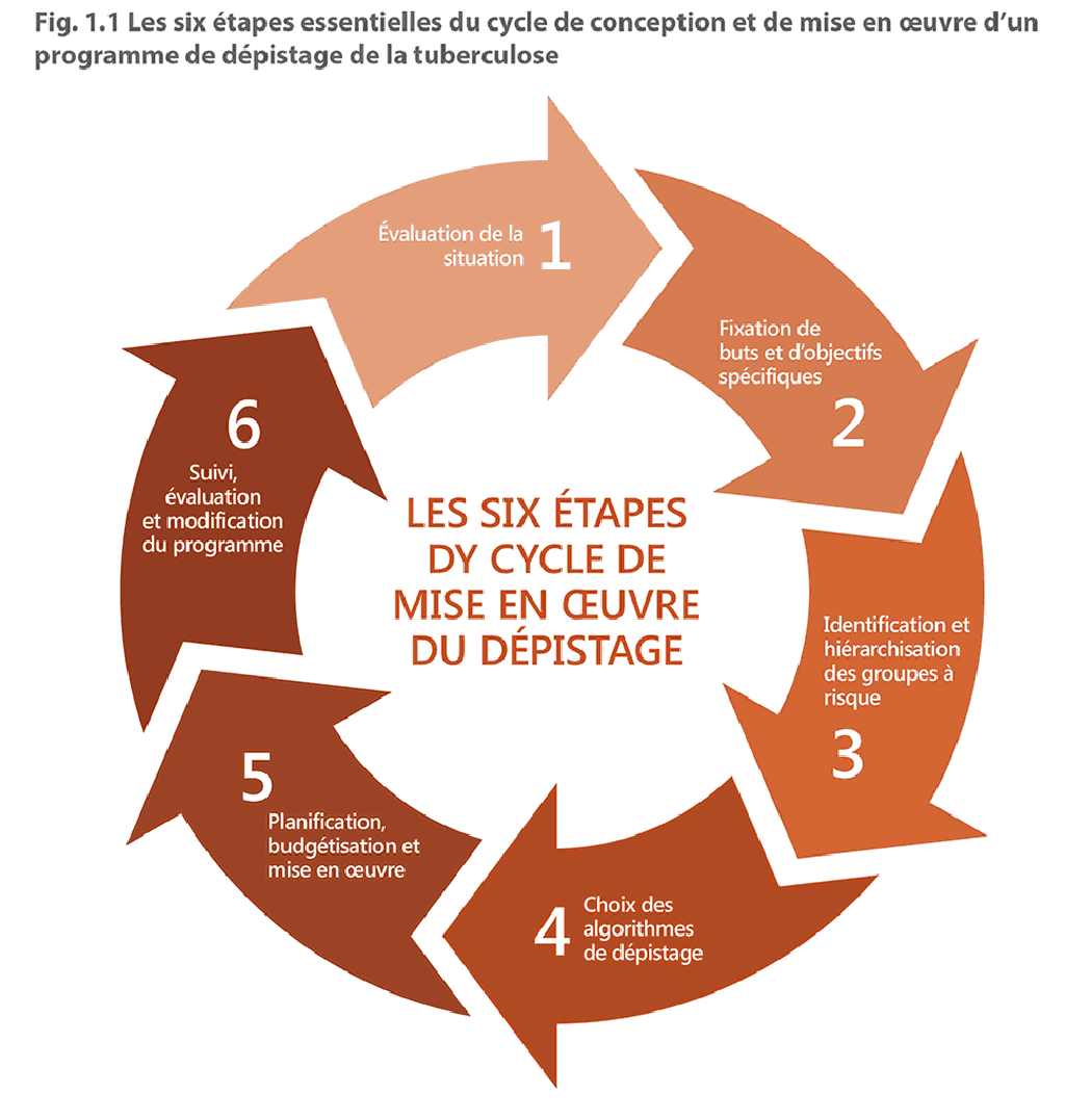 The six essential steps in the cycle of designing 