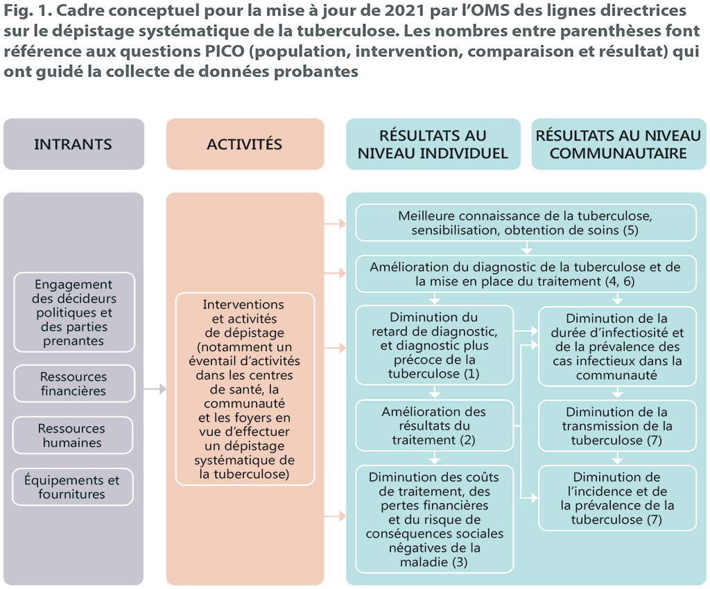 Conceptual framework for the 2021 WHO update