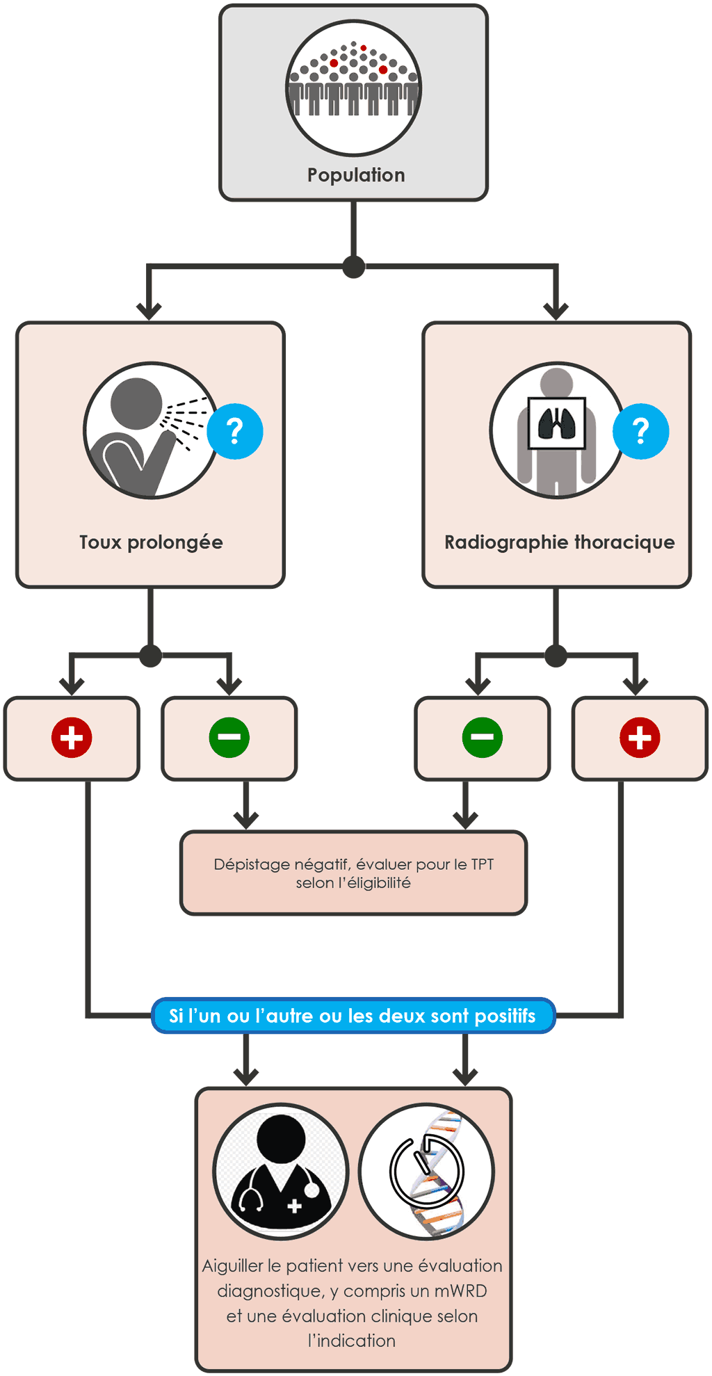 Parallel screening with cough and CXR