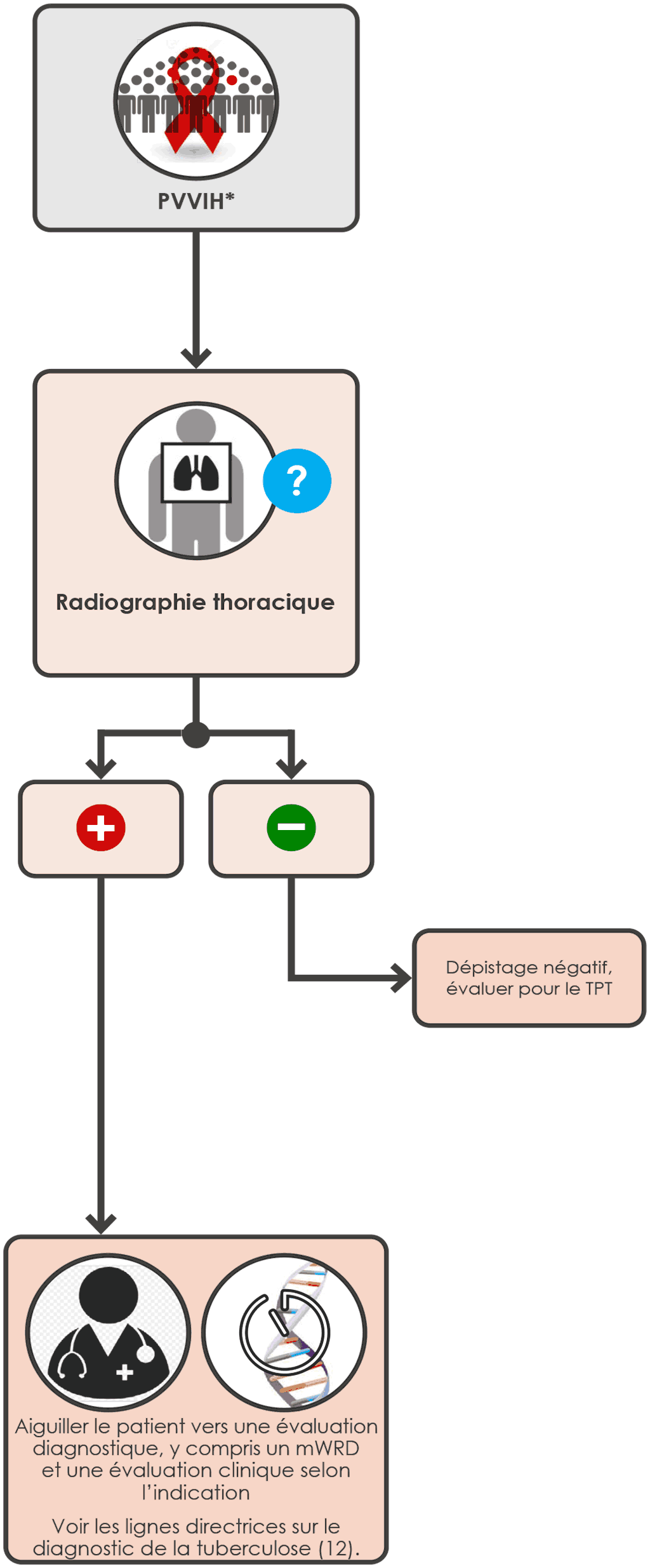 CXR single screening algorithm