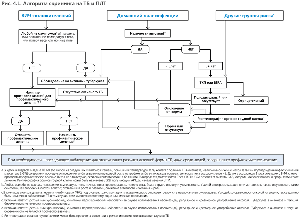Algorithm for TB screening and TPT