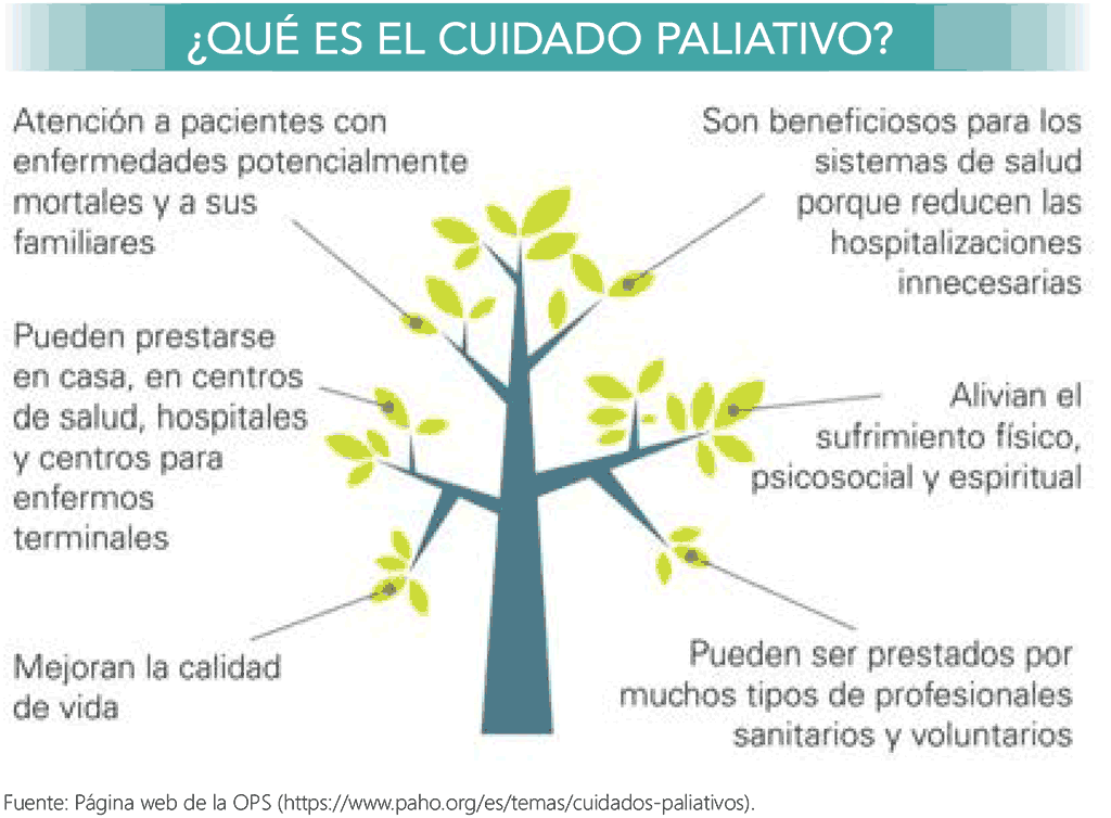 Figure 7.1. Palliative care