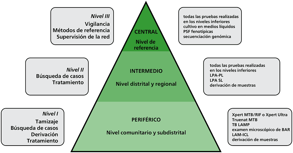 Figura 2.1 Organización de una red de diagnóstico de TB