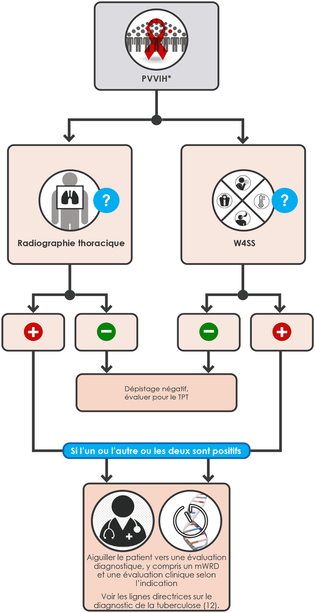  Parallel screening algorithm with W4SS and CXR