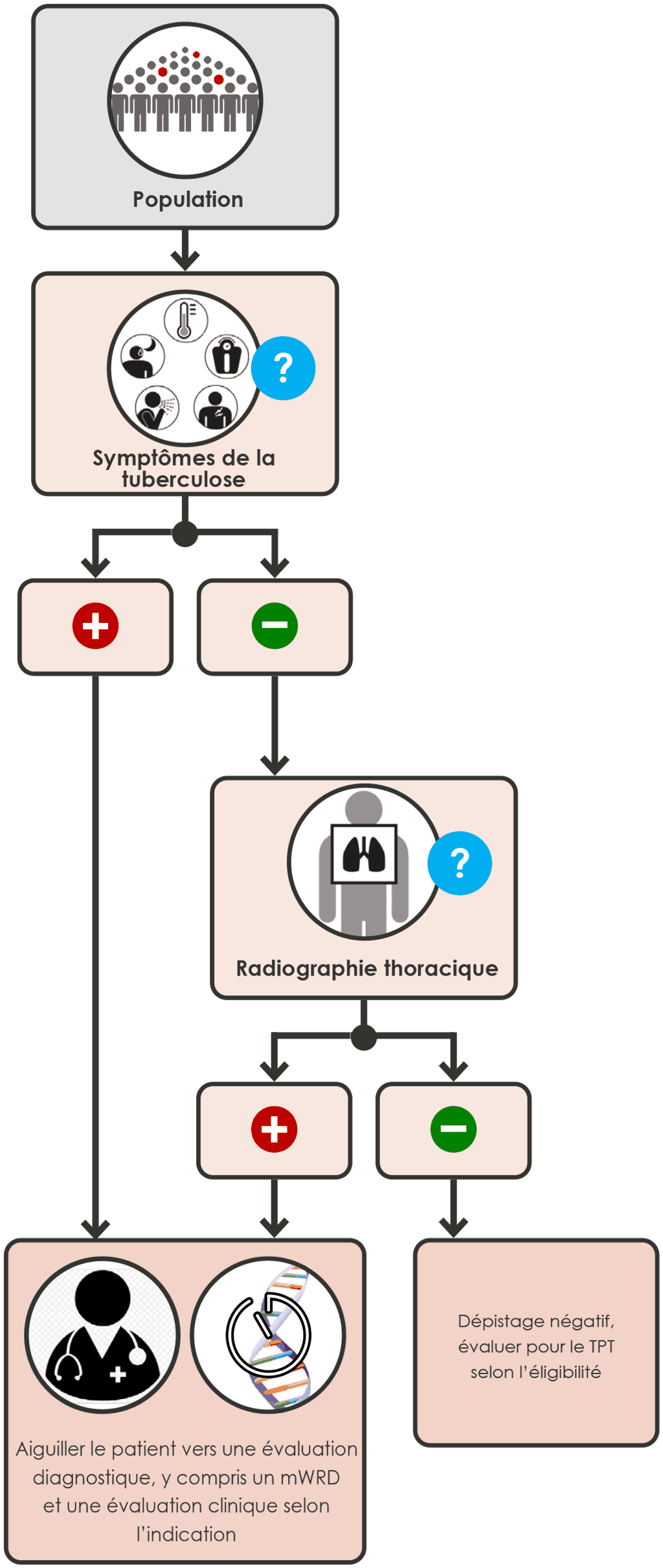 Sequential negative serial screening with any TB symptom and CXR