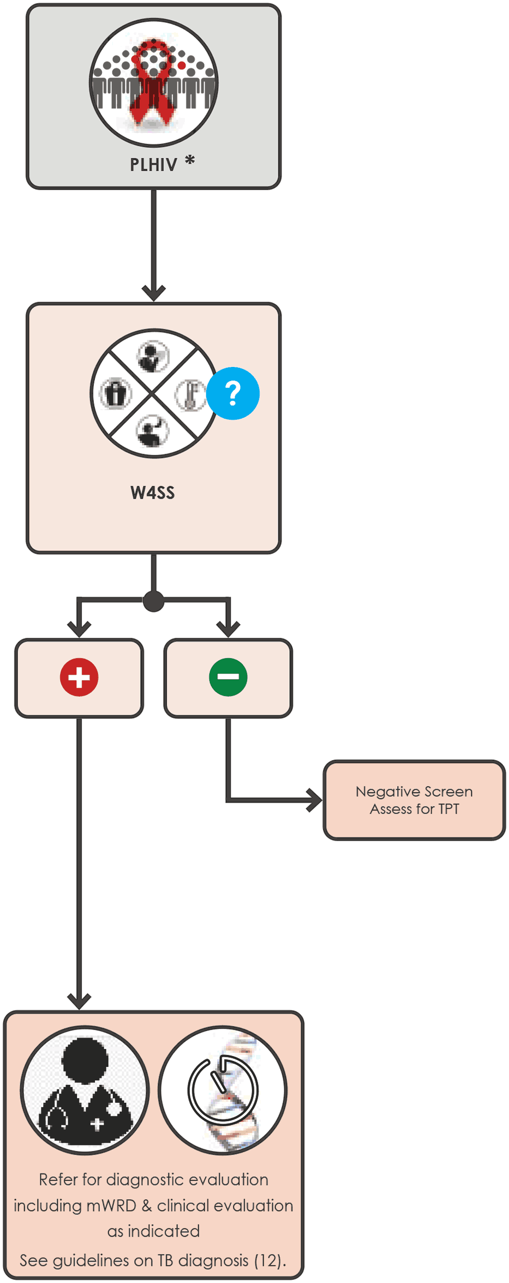 W4SS single screening algorithm