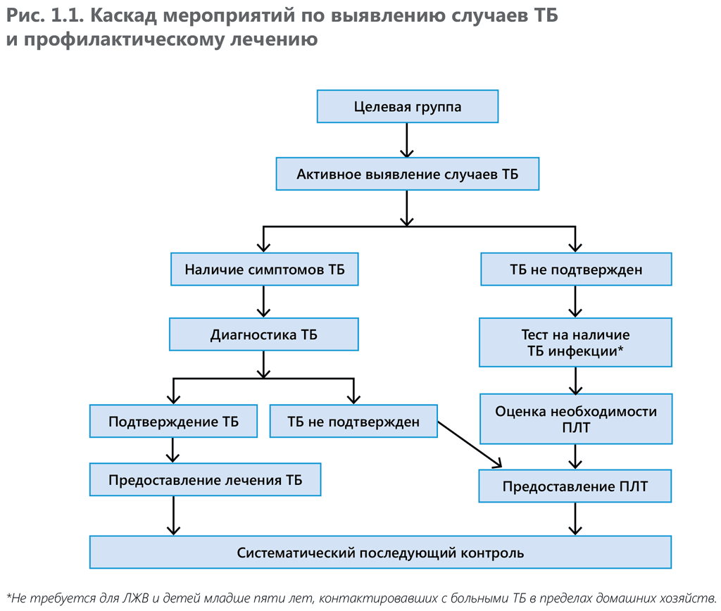 Figure 1.1