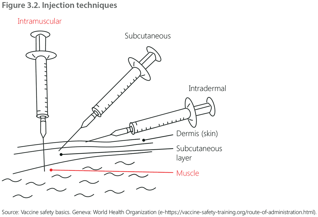 Figure 3.2