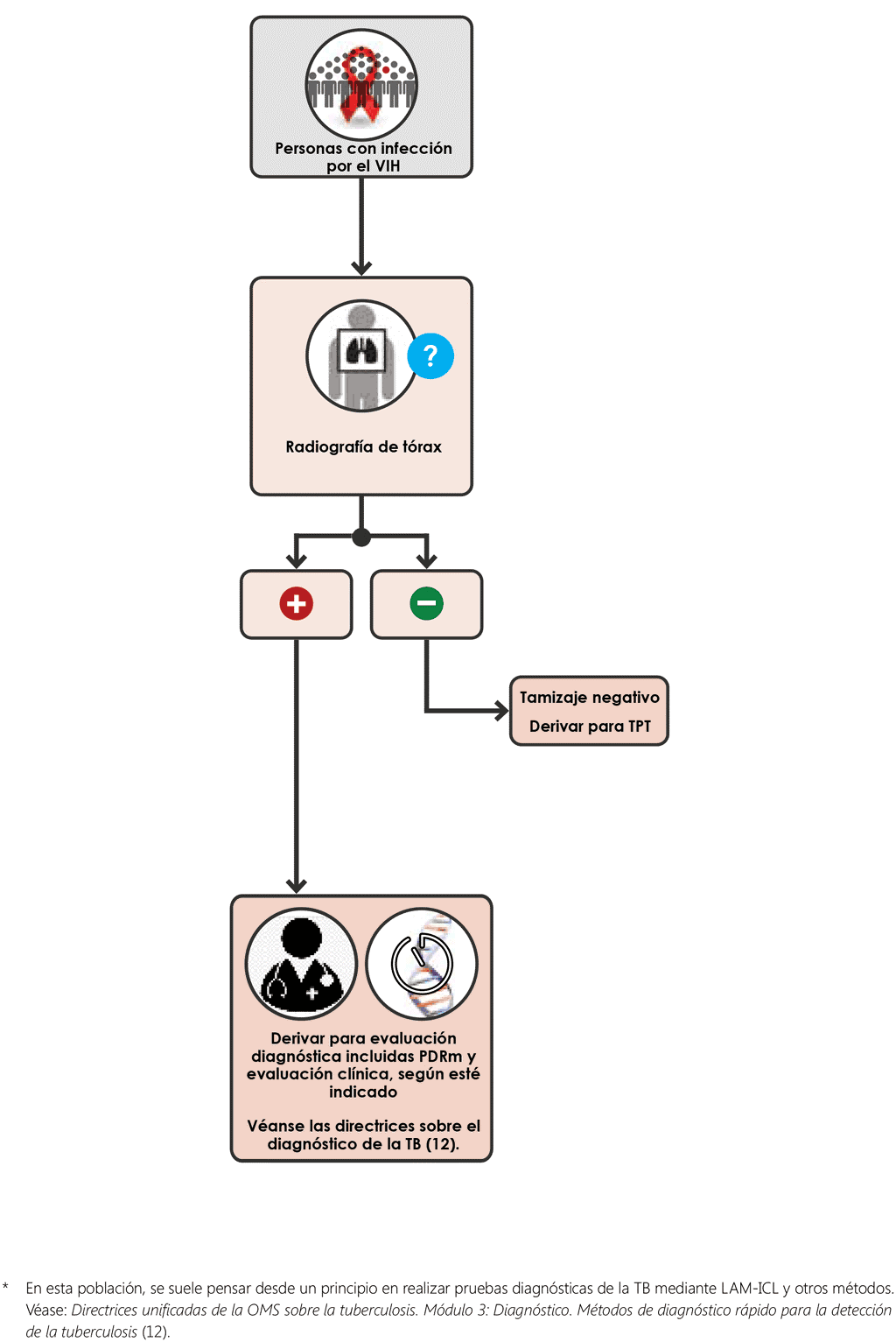 CXR single screening algorithm