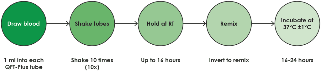 Fig. A2.1.2. Process for direct draw into QFT-Plus blood collection tubes 