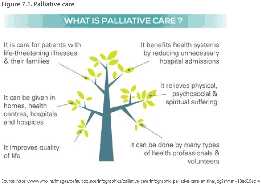 Figure 7.1. Palliative care