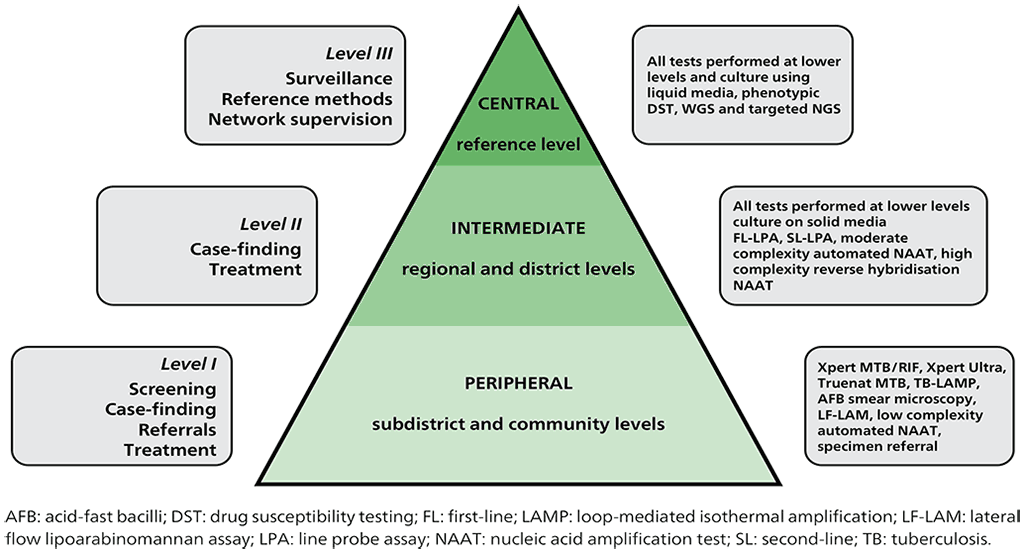 Fig3-1