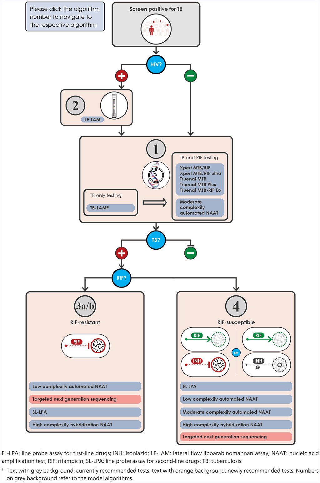 4. Model algorithms | TB Knowledge Sharing